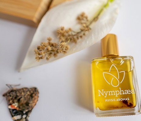 nymphaea pop 2